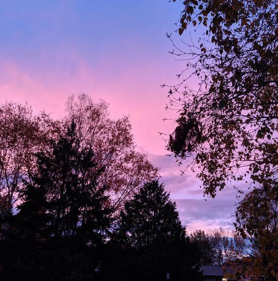 Meet your Posher, Lorraine - Picture 1 of 1